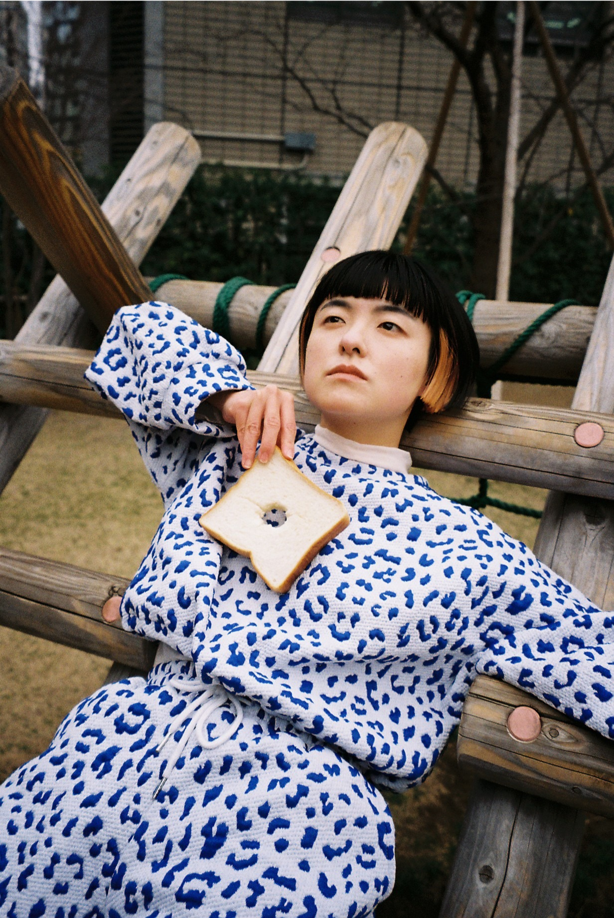 asamicroビジュアル